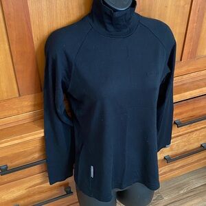Icebreaker merino wool bodyfit 260 long sleeve top